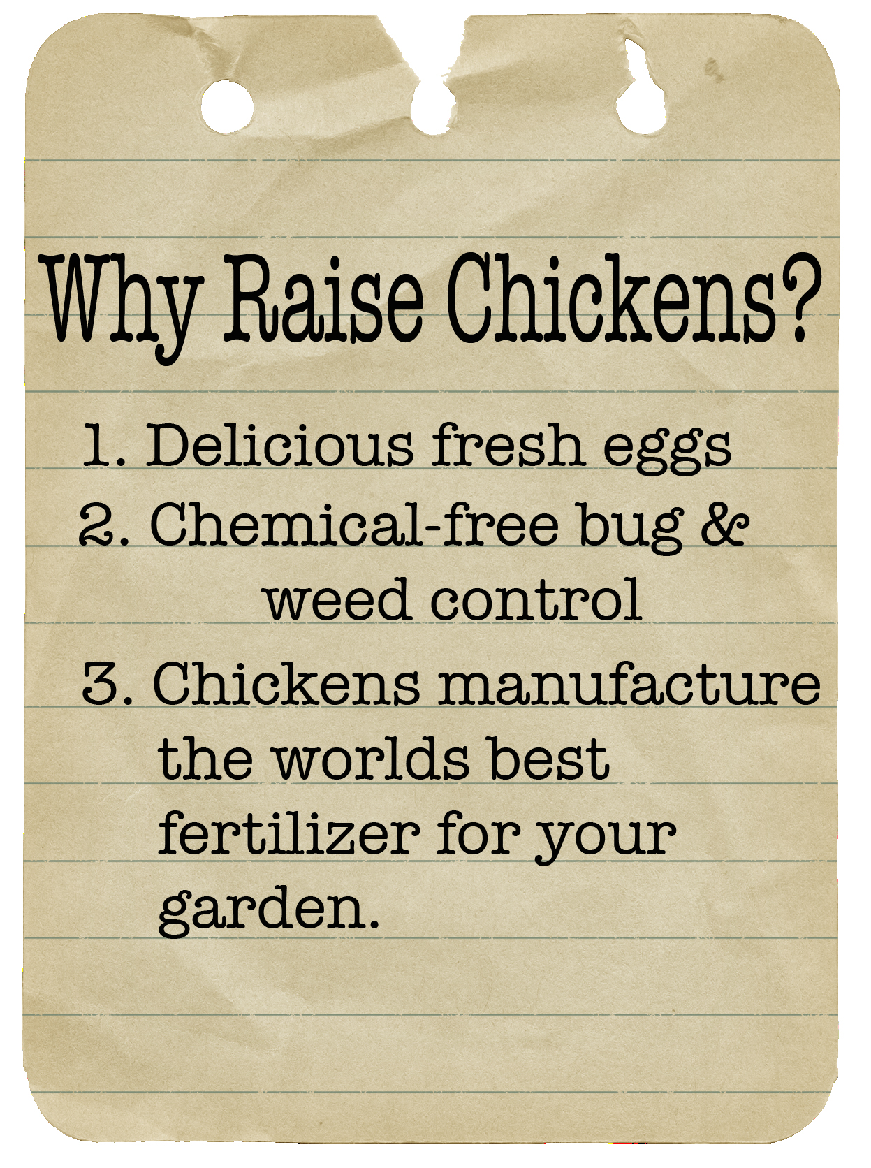 why_raise_chickens