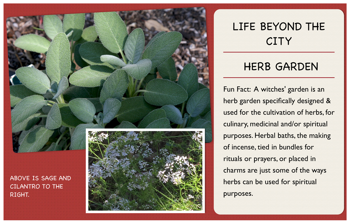 Herb-garden-header